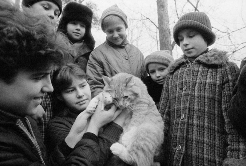 10 архивных фото котов из СССР, которые докажут, что любовь к этим милахам не знает границ и времени