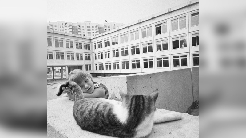 10 архивных фото котов из СССР, которые докажут, что любовь к этим милахам не знает границ и времени