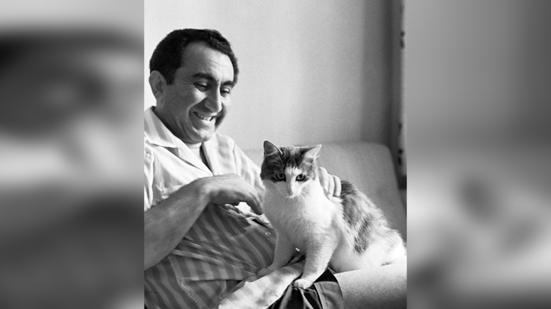 10 архивных фото котов из СССР, которые докажут, что любовь к этим милахам не знает границ и времени